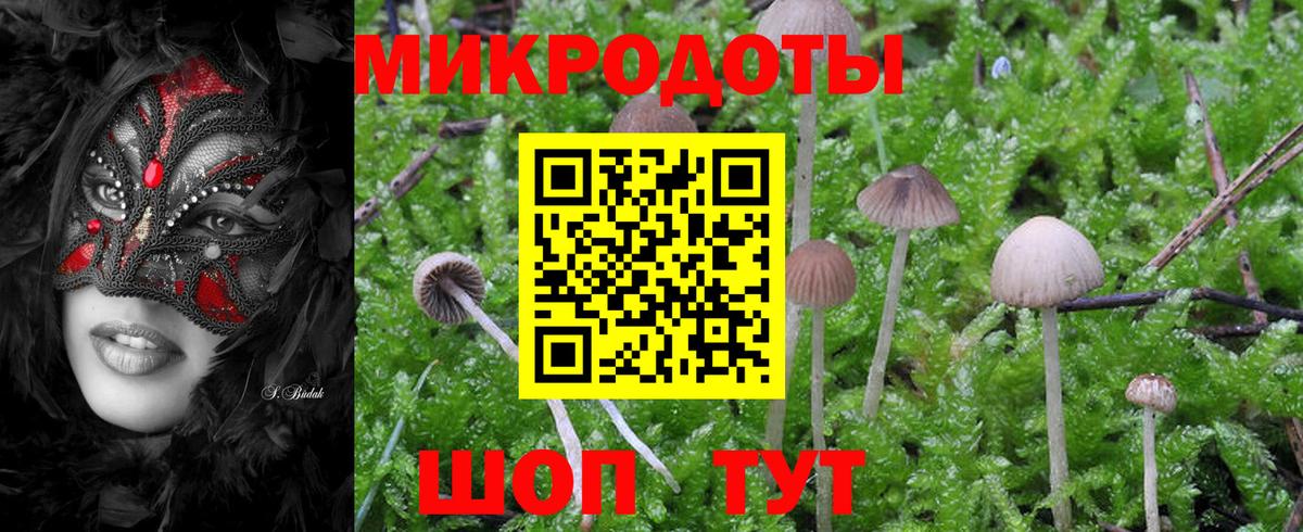 Галлюциногенные грибы прущие грибы Лесной
